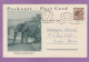 ENTIER POSTAL  KRUGER NATIONAL PARC, ELEPHANT, 1961. - Storia Postale