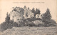 39-CHAMPAGNOLE-Ruines Du Chateau Vilain-N 6002-H/0127 - Champagnole