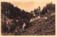 FRANCE - Langogne - Station Climatique - Forêt - Carte Postale Ancienne - Langogne