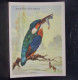 587 .  VIEUX PAPIER . COLLECTION BISCOTTES CLEMENT . MARTIN PECHEUR . OISEAU - Altri & Non Classificati