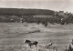 FRANCE - Winkel - Vue Générale - Cheval - Charette - Animé - Carte Postale Ancienne - Altkirch