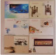 CHINA 2013-1 2013-31 China Whole Year   FULL  Stamp + S/S X 6 FDC - Unused Stamps
