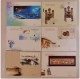 CHINA 2013-1 2013-31 China Whole Year   FULL  Stamp + S/S X 6 FDC - Ungebraucht