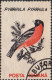 Roumanie Poste Obl Yv:4065/4074 Oiseaux (TB Cachet Rond) - Used Stamps