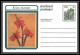 1744/ Afrique Du Sud (RSA) Entier Stationery Carte Postale (postcard) Fleurs Flowers Erica Neuf Tb  - Brieven En Documenten