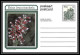 1741/ Afrique Du Sud (RSA) Entier Stationery Carte Postale (postcard) Fleurs Flowers Erica Neuf Tb  - Storia Postale