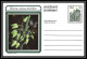 1735/ Afrique Du Sud (RSA) Entier Stationery Carte Postale (postcard) Fleurs Flowers Erica Neuf Tb  - Storia Postale