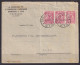 ROMANIA. 1923/Timisoara, Multi Franking Advertise Envelope/abroad Service. - Covers & Documents