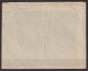 ROMANIA. 1923/Timisoara, Multi Franking Advertise Envelope/abroad Service. - Lettres & Documents