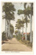 CPA - BARBADES - BARBADOS - AVENUE OF PALMS. - Barbades