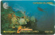 Cayman Isl. - C&W (GPT) - Diver In Reef, 5CCIA, 1992, 53.526ex, Used - Iles Cayman