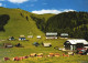 AFLENZ, STYRIA, ARCHITECTURE, COWS, AUSTRIA, POSTCARD - Alfenz