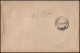 PV 14 - 2/1/1936 - First Flight From Port Elizabeth. Letter Sent From South Africa To Great Britain. - Kap Der Guten Hoffnung (1853-1904)