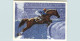 Sports - Hippisme - Hippodrome - Animaux - Chevaux - Katko - Bon état Général - Ippica