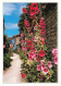 FRANCE - Talmont Sur Gironde - Rue Fleurie De Roses Trémières - Vue Générale - Carte Postale Ancienne - Saintes