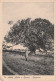 CARTOLINA 1939 C.20 ETIOPIA+5 SOMALIA  (YK1961 - Aethiopien