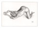 Aslan - Carte Postale érotique - Sexy Nude Nº 37 Eve Limited Edition - Size: 15x10 Cm. Aprox. - Aslan