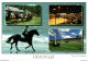 N°27935 Z -cpsm Deauville -les Courses- - Paardensport