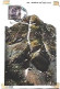 United States & Maximum Card, Mount Of The Holy Cross, Colorado, Denver, Ed. Sanborn S. Ed. Sanborn S. Co. (44441) - Denver
