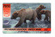 Ours Grizzly Bears 1995 Wildlife Collection Télécarte ALWAYS DIAL FROM A TONE PHONE  Card  ( T 227) - Collections