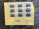 17-6-2024 (70) Large Letter Posted Registered From India To Australia In 2024 (with Many Kestrel Birds)  25  X 20 Cm - Lettres & Documents