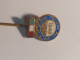 1946 FEDERAZIONE ITALIANA PALLAVOLO 1946 DISTINTIVO ASSOCIAZIONE SPORTIVA PIN'S AD AGO SPORT - Volleybal