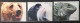 2001 - Portugal - MNH - Animals Of Lisbon Zoo - 6 Stamps - Neufs