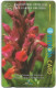 Bulgaria - Betkom (GPT) - Orchids - Elder-Flowered - 57BULA - 08.1998, 40.000ex, Used - Bulgaria