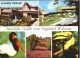 70112433 Walsrode Lueneburger Heide Walsrode Vogelpark X 1981 Walsrode Lueneburg - Walsrode