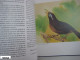 Macau MACAO Birds And Bird Cage Stamps Set With Book MNH Minor Tone - Collezioni & Lotti