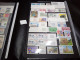 Delcampe - DM006 BEAU LOT FEUILLES ANDORRE TOUS NEUFS MNH A TRIER COTE++ DEPART 10€ - Colecciones (en álbumes)