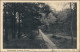 Ansichtskarte Prerow Weg An Den Dünenanlagen 1928 - Seebad Prerow