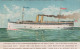ZAYIX Passenger Steamer SS Eastland Sank 844 Passenger Died Advertising Postcard - Sonstige & Ohne Zuordnung