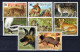 Rwanda 1035-1042 MNH Wildlife Meat-Eating Animals Wild Cats ZAYIX 0624S0572 - Autres & Non Classés
