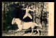 SPORTS - HIPPISME - R. PARINA, JOCKEY - VOIR ETAT - CHEVAL - Horse Show