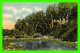 MOBILE, AL -  WATER LILIES IN BLOOM IN THE SUNNY SOUTH - ASHEVILLE POST CARD -  C,T, ART COLORTONE - - Mobile
