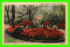 MOBILE, AL - SCENE IN BELLINGRATH GARDENS ON ISLE-AUX-OIES-RIVER -  C.T. ART-COLORTONE - - Mobile