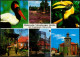 Ansichtskarte Walsrode Mit Vogelpark Walsrode Mehrbild 1976 - Walsrode