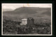AK Dornach, Ortsansicht Mit Goetheanum  - Dornach