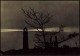 Ansichtskarte Prerow Leuchtturm Bei Nacht Stimmungsbild 1966 - Seebad Prerow