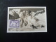 Carte Maximum Card Montagne St-Christoph Mountain Autriche Austria 1948 - Cartoline Maximum