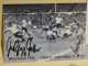 Autographs From The World Cup Football Final 1966 England-Deutschland WM Endspiel - Sportspeople