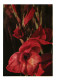 Red Gladiolus, Soviet Russia USSR 1967 3Kop Stamped Stationery Card Postcard Unused - 1960-69