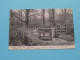 CHINGFORD Entrance To Larks Wood ( Edit.: ? ) Anno 1906 ( Zie / Voir SCANS ) ! - Londen - Buitenwijken