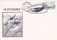 ANIMALS, MARINE MAMMALS, GRAY WHALE, SPECIAL COVER, 2002, ROMANIA - Baleines