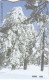 Cyprus, CYP-C-099, Winter Scenery,  2 Scans. - Zypern