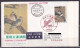 JAPAN. 1981/Kyotonishi, Postal Used Fdc/back Flap Missing. - Brieven En Documenten