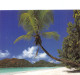 SEYCHELLES PETER BAKER - Seychellen