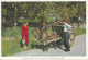Ireland Postcard Sent To Denmark  Bringing Home The Turf With Irish Donkey And Cart - Other & Unclassified