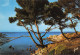 83 Corniche De L'esterel Agay, Anthéor, Le Trayas  9 (scan Recto Verso)KEVREN0735 - Le Lavandou